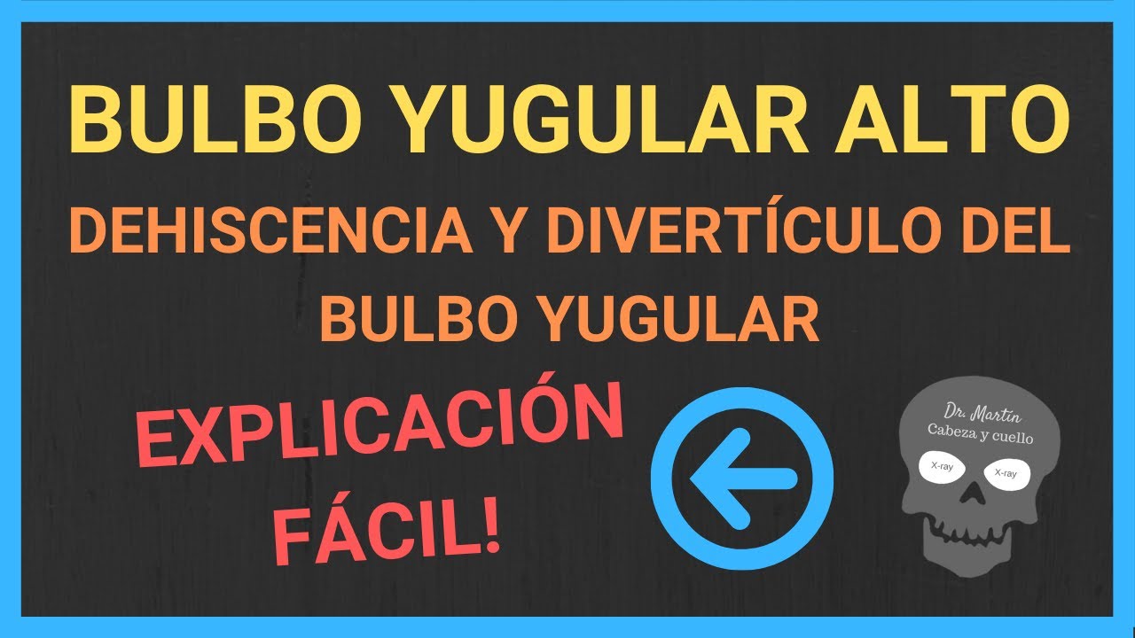 BULBO YUGULAR (alto y dehiscente) y DIVERTÍCULO del bulbo YUGULAR✌