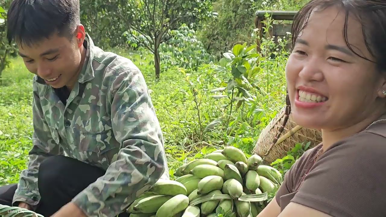 Couple harvesting bananas to sell, Daily life - Linh's Life