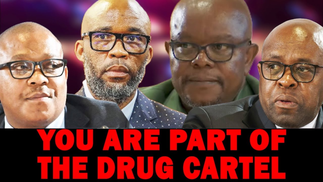 Hawks Boss EXPOSED by Madlanga for Working for Cat Matlala & the Cartel