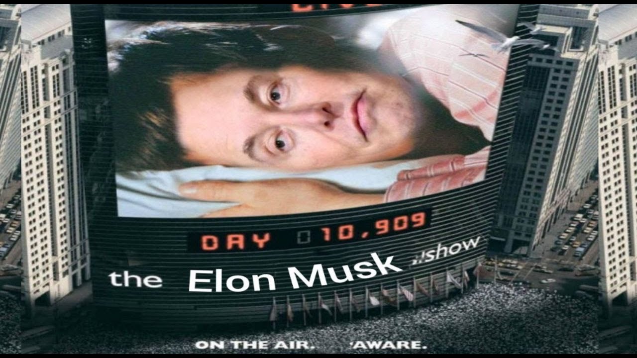 La Vendetta di ELON MUSK