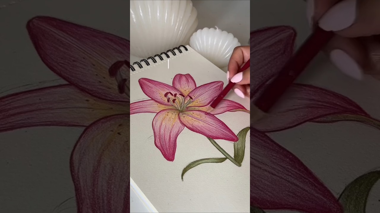 Lily Flower Drawing Tutorial🌷✨ #drawing #lily