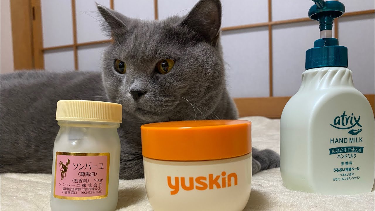 猫飼い！ハンドクリーム頂上決戦！