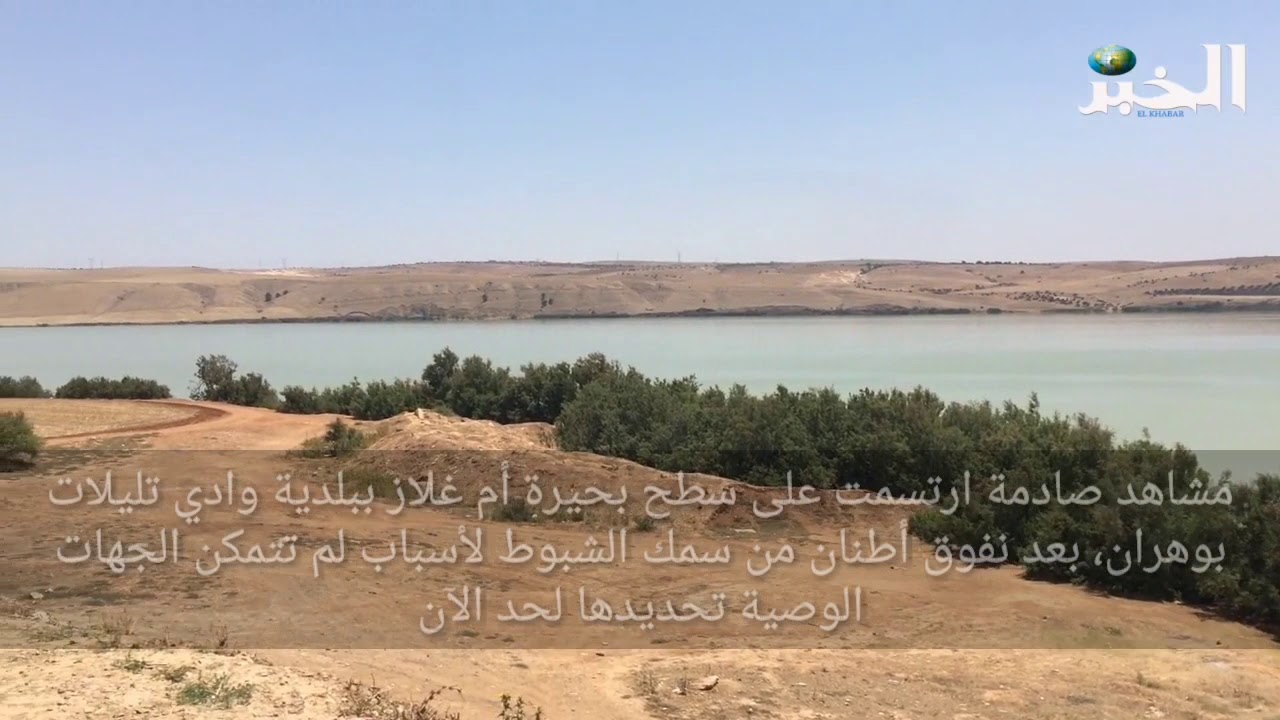 كارثة بيئية ببحيرة أم غلاز بوادي تليلات في وهران