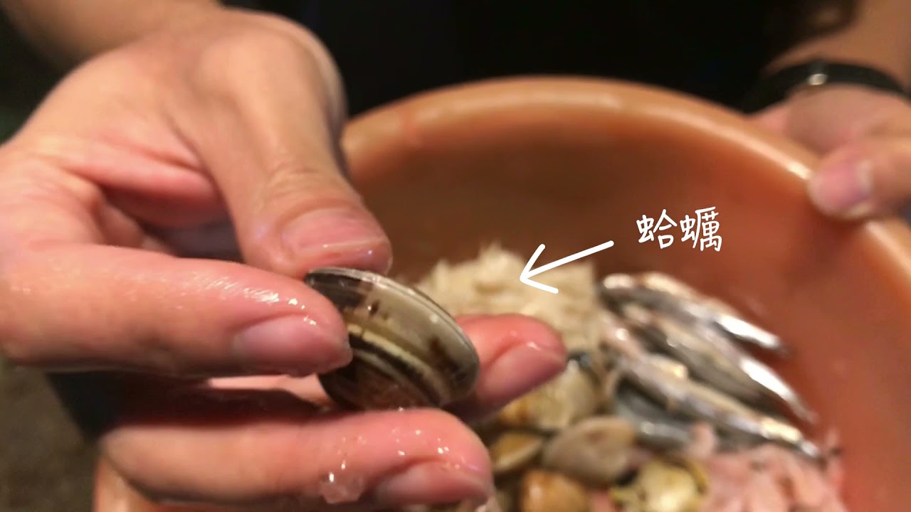 ＃海洋生物吃飯囉🍚 【觸摸池篇】​#屏東海生館