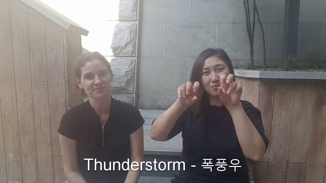 Susan & Eunsun Chapter 6 American & Korean Sign Languages