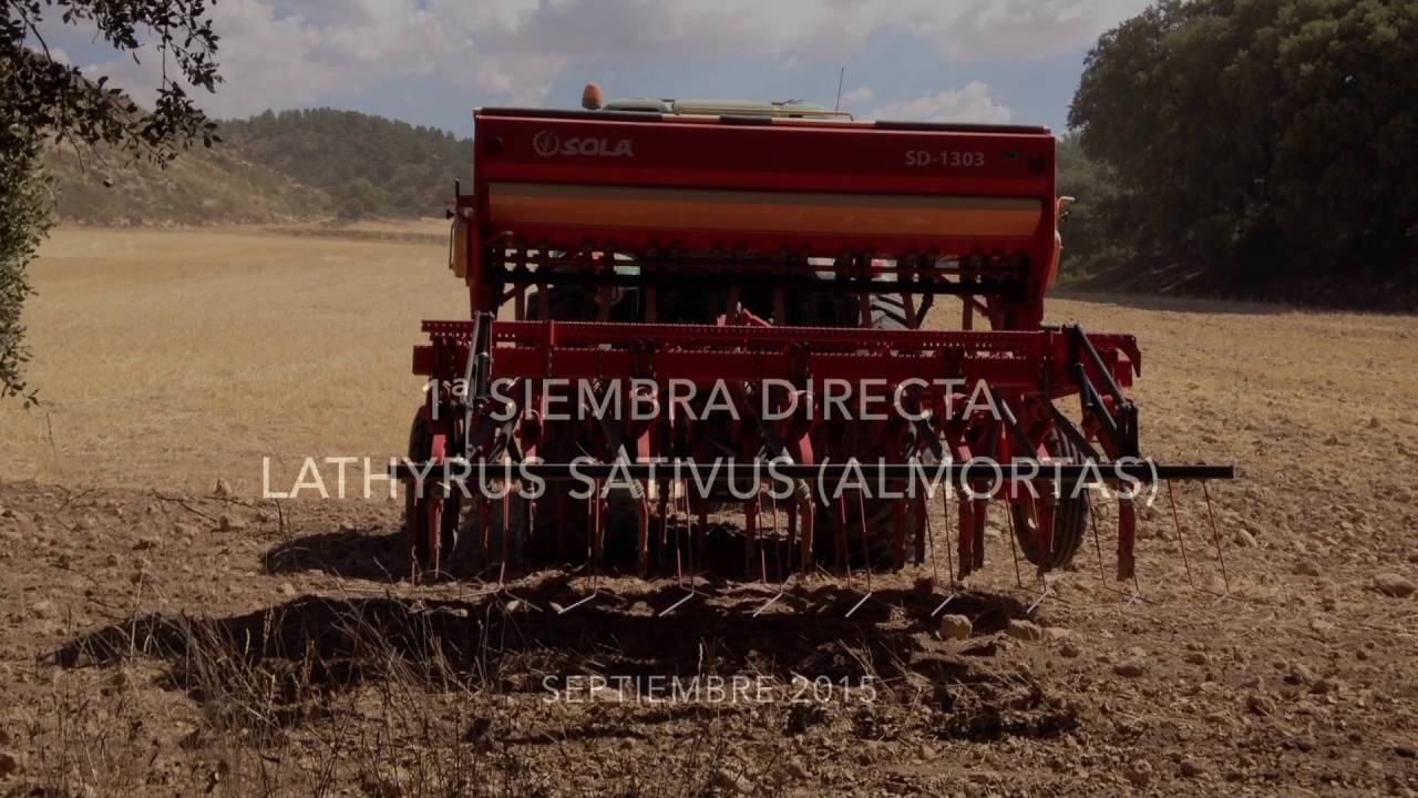 PINHEIRO - AÑO 1 - Siembra directa ecológica (18-9-16)