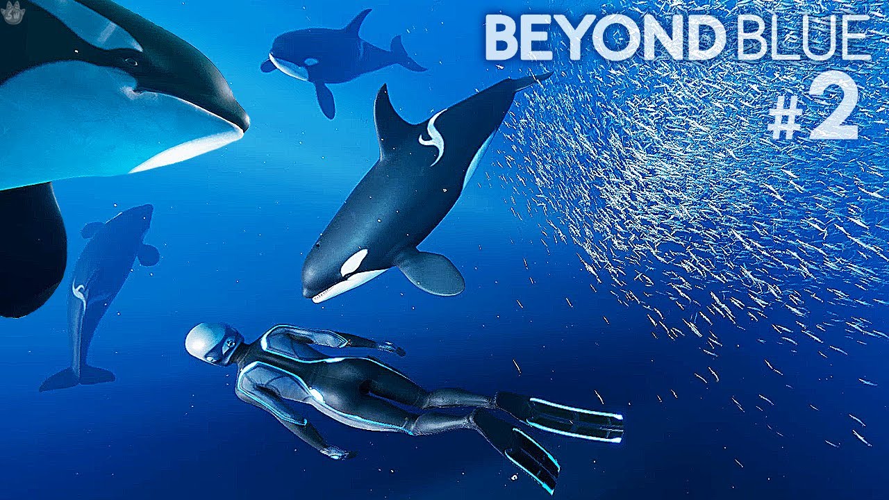 I FOUND THE BEAUTIFUL ORCA WHALES! Beyond Blue | Part #2