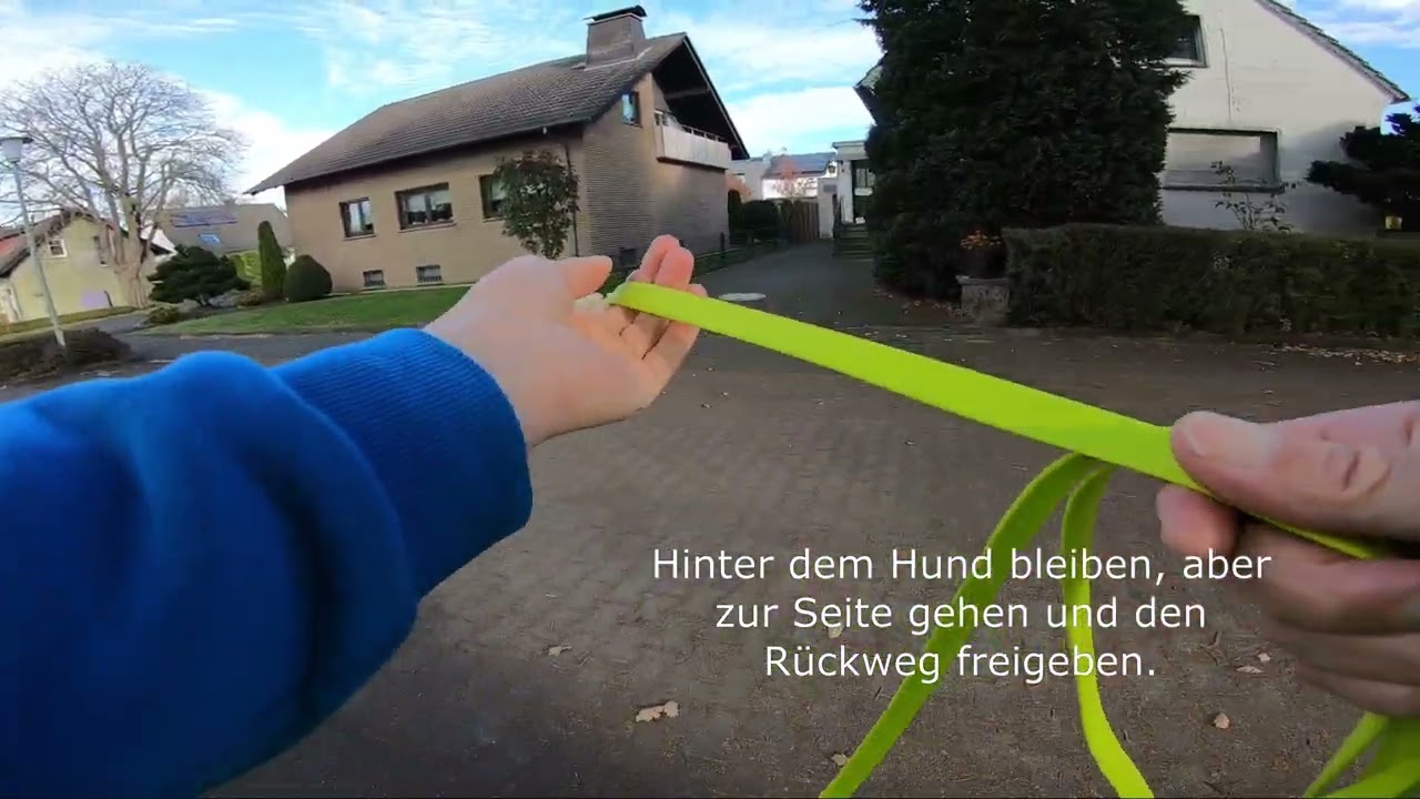 Mantrailing - Training am 06.11.2022