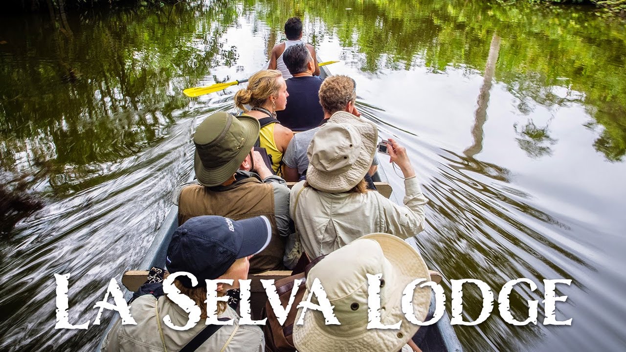 Explore La Selva Jungle Lodge | Ecuador’s #1 Amazon Eco-Lodge Adventure
