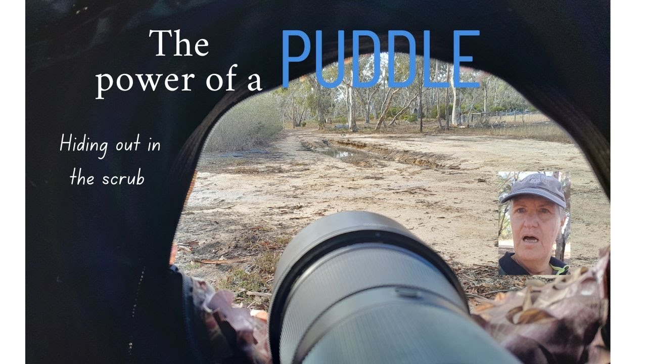 The Power of a Puddle