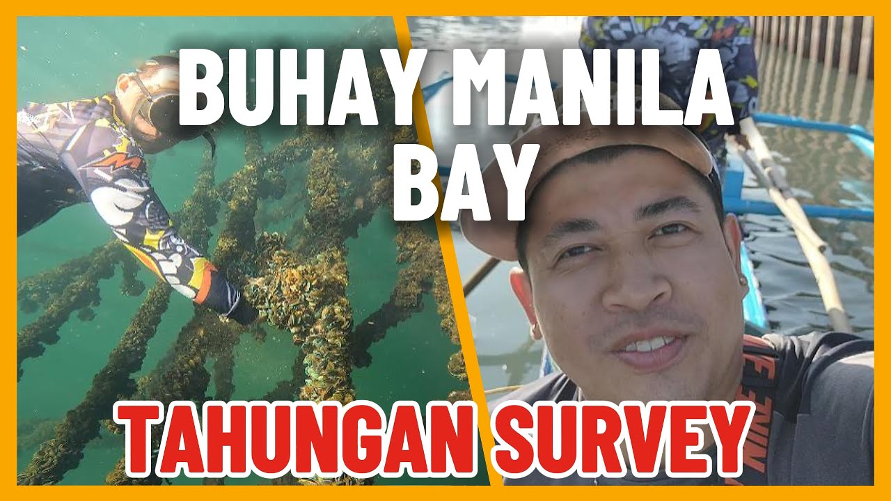 Tahungan Suvey, Paano nga ba ginagawa? | Buhay Manila Bay