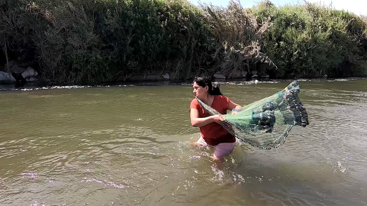 Así PESCA en el  Río con Atarraya esta Mujer -- Pesca de Camarón