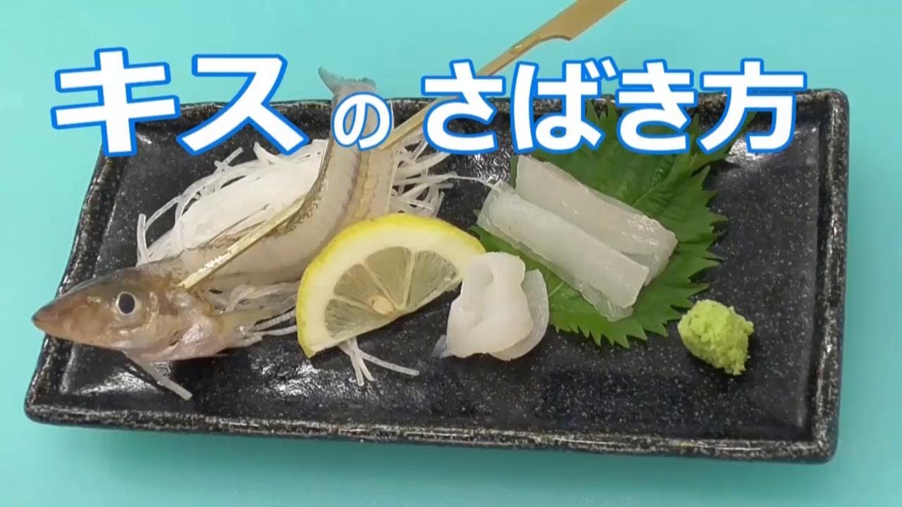 キスの捌き動画。背開きやキス20センチのお造り。シロギスのお刺身は最高です。誰も食べれば満面の笑顔。和歌山南紀地方では、4月ごろより本格的な投げ釣りシーズンの開幕となります。