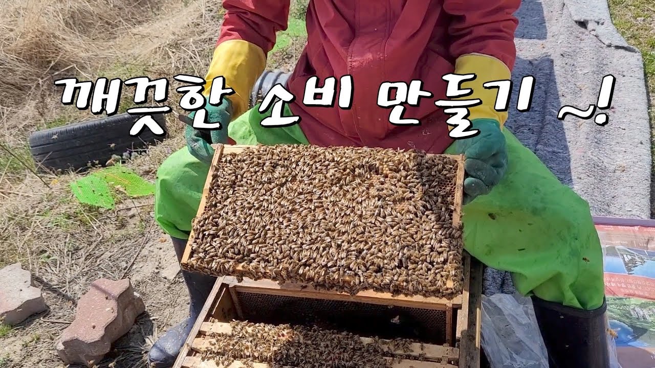 2022년 계상올릴준비(소비청소,여왕벌날개자르기, 숫벌집 정리)