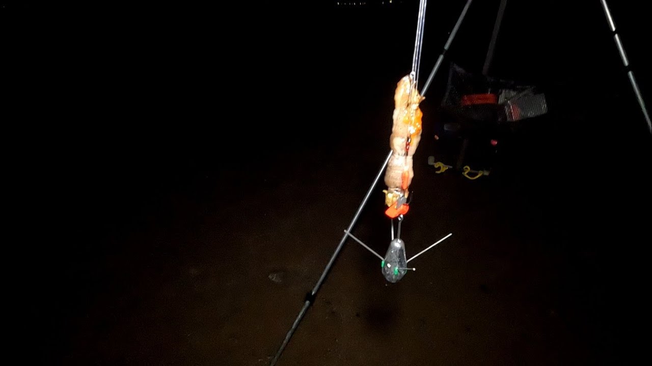 Fishing at Rossall Beach, Cleveleys - 28/1/23