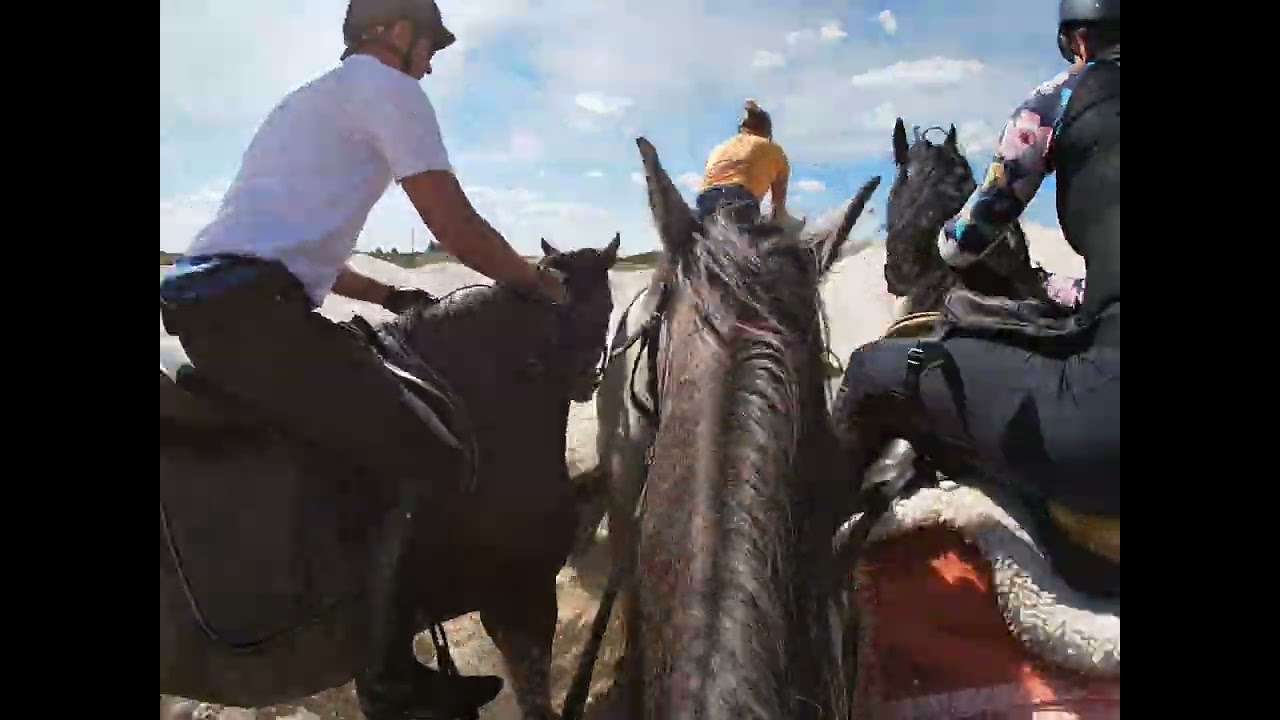 #W Siodle #I to się nazywa #galop...  #Leonów #Zalew Sulejowski #teren z Marysią #jazdakonna