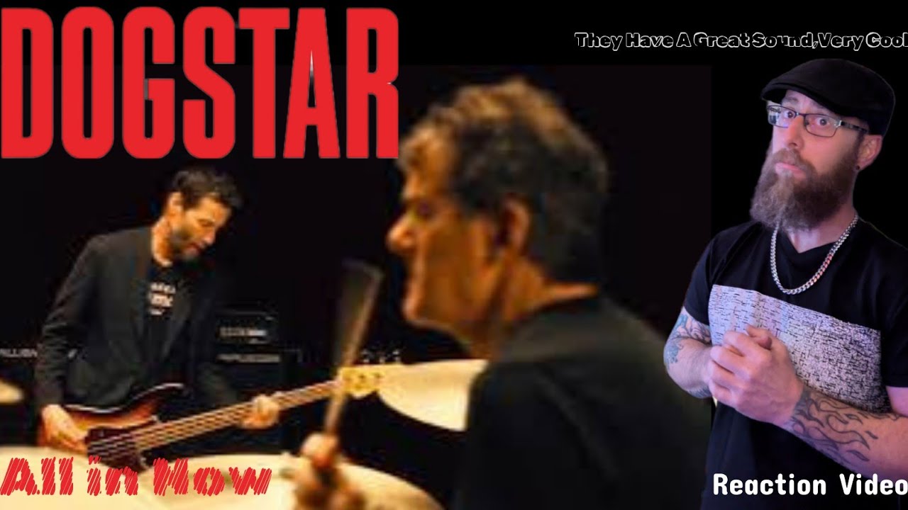 DOGSTAR + All in Now Official Music Video First Listen Reaction 🖤💯