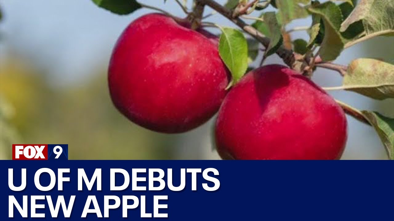 University of Minnesota debuts new apple