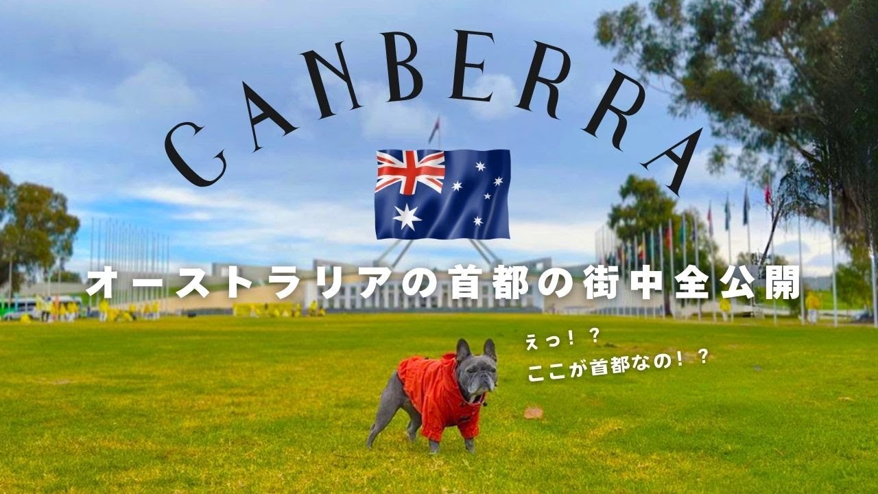 【🇦🇺首都キャンベラ】意外すぎるオーストラリアの首都… 愛犬と知られざる幻の街を大公開！