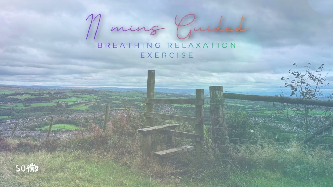 11 Mins Breathing Relaxation Exercise | 11分鐘身心放鬆：舒壓、助眠引導