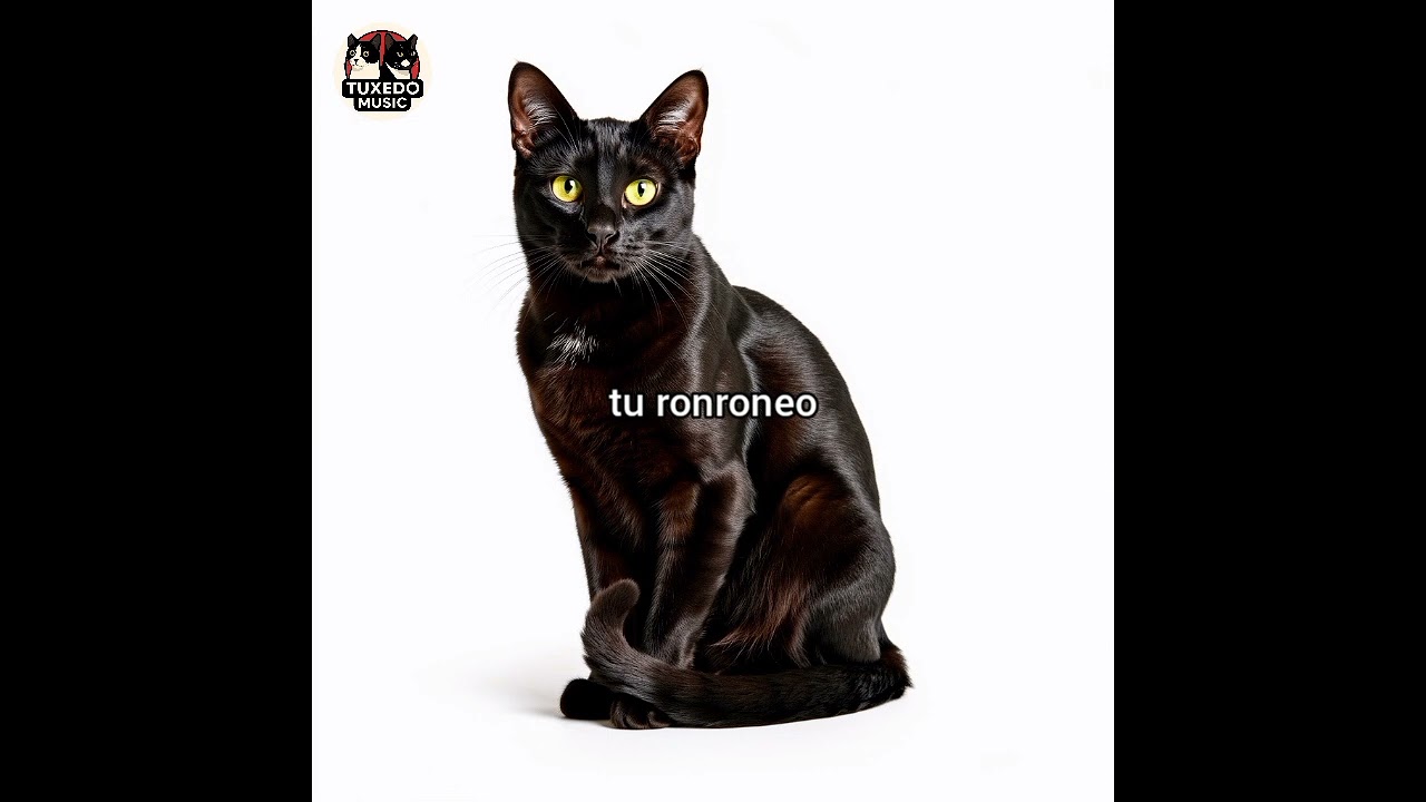 Tu y Yo 
