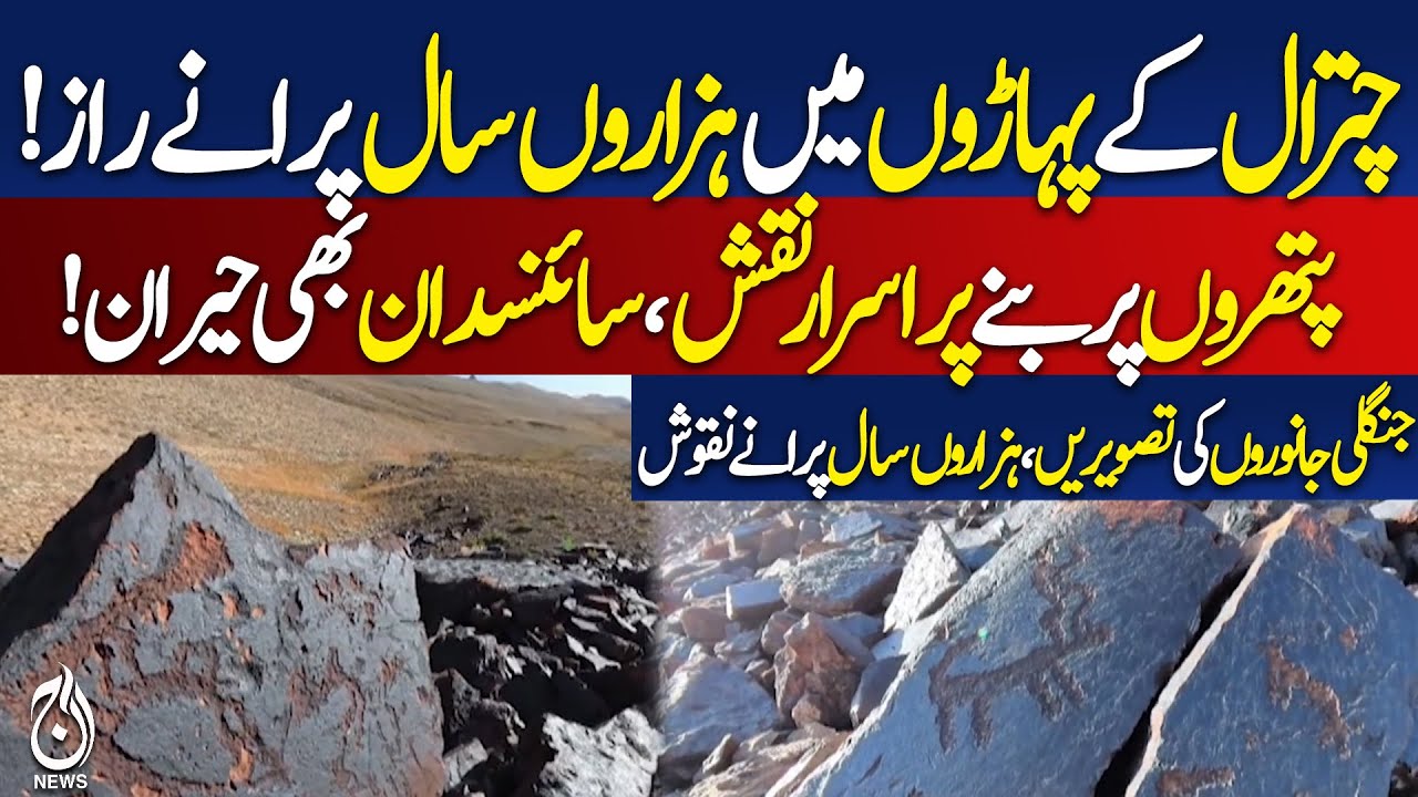 Ancient rock carvings discovered in Chitral mountains amaze scientists - Pakistan news