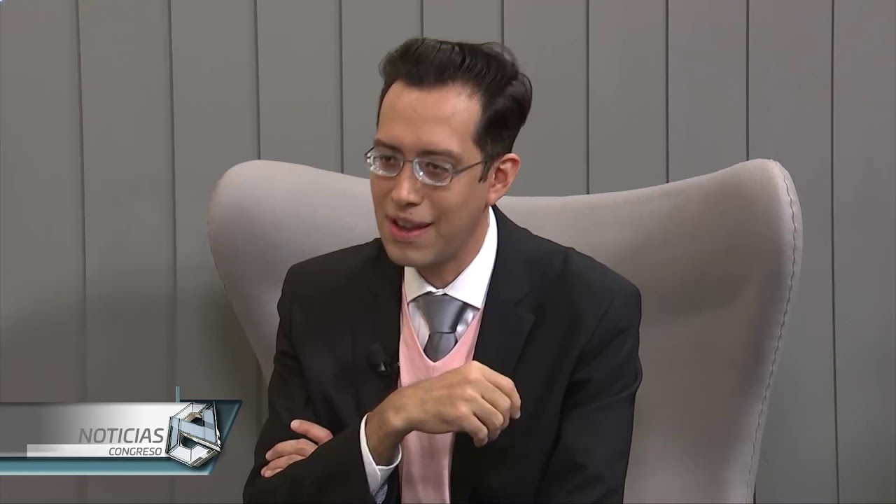 Explica el proceso para llegar a la expedición de lineamientos para la reelección consecutiva