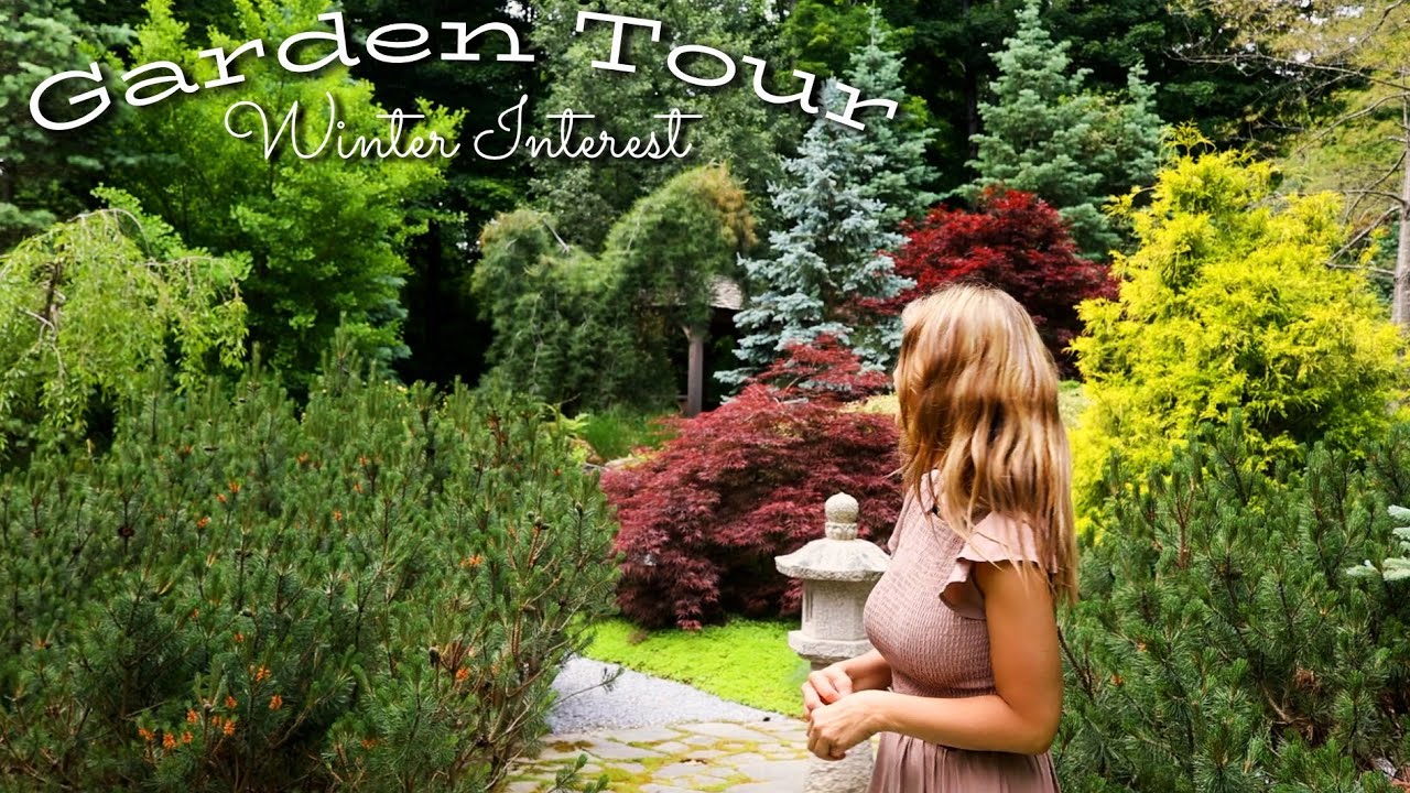 Winter Interest Garden Tour (Japanese Garden) #gardeninspiration