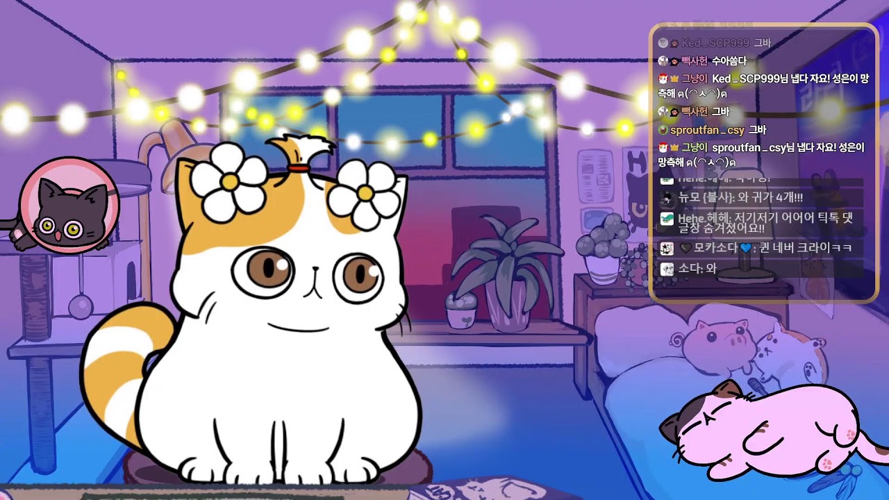 [댄디스월드] 업적작 어게인 쉬림포로 다일 잡기  #그냥이 #gunyangi #버튜버 #vtuber #로블록스 #댄디의세계