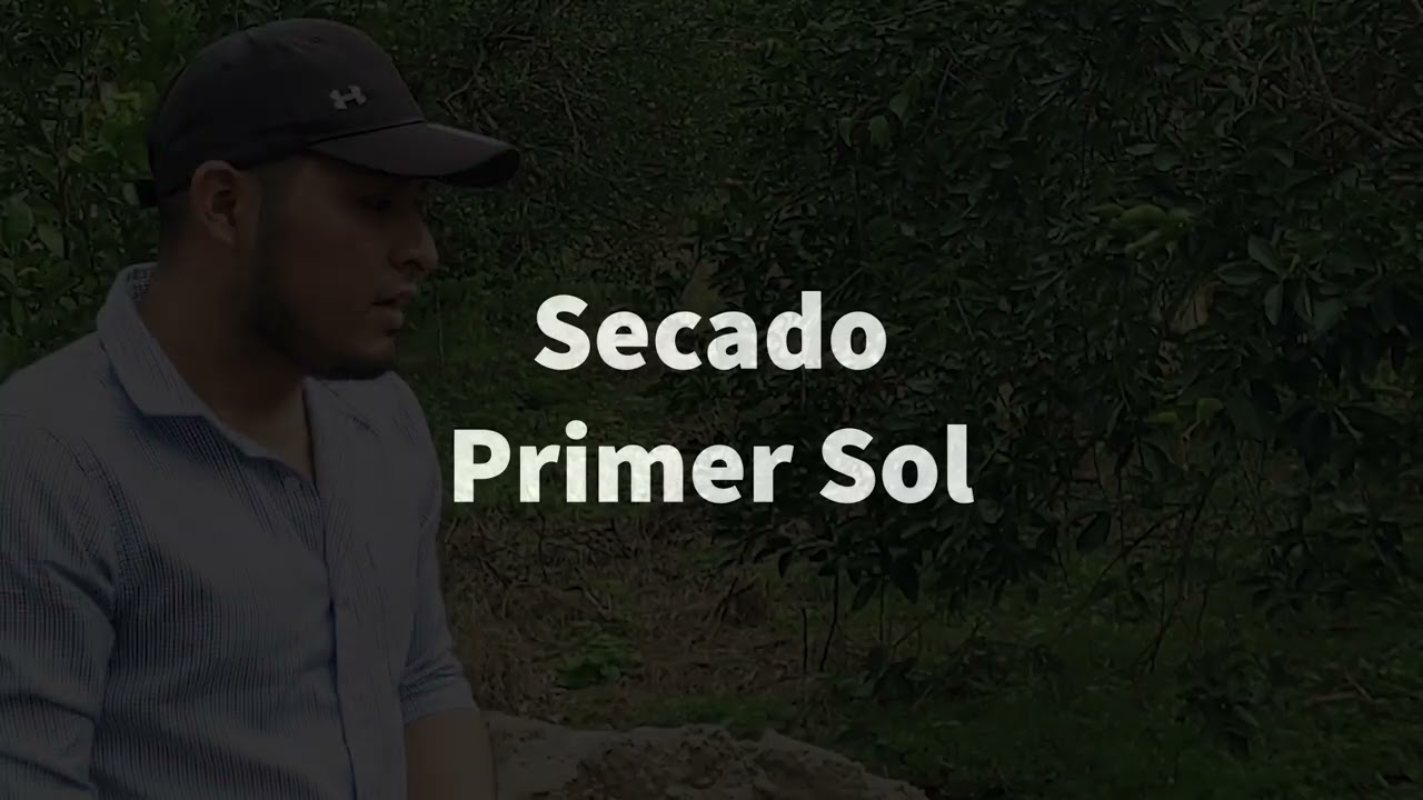 Beneficiado de Vainilla Ayotoxco de Guerrero, Puebla.