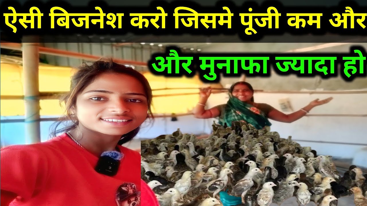 ऐसी बिजनेश करो जिसमे पूंजी कम लगे ओर मुनाफा ज्यादा हो#minaparajapatiofficial#sonalimurgifarmingvideo