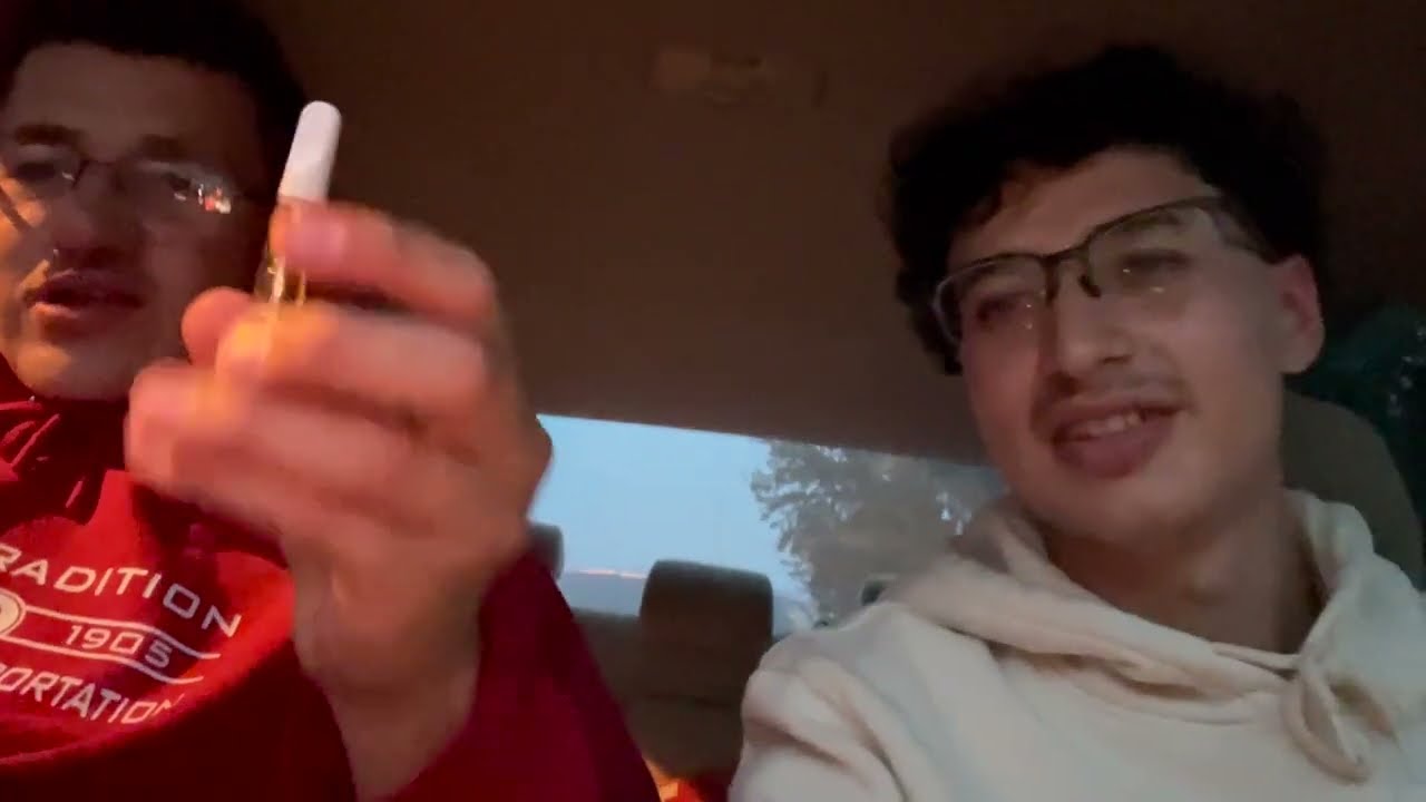 First Time Facing a 1 gram Delta 8 Cart (blinkers only!) ft. my brother