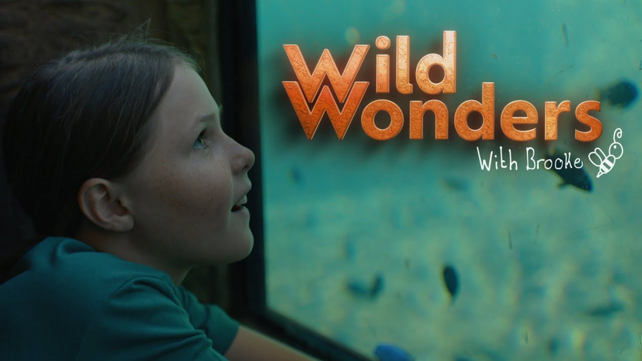 Brooke Carter Tries ZOOKEEPING | Wild Wonders with Brooke | EarthX