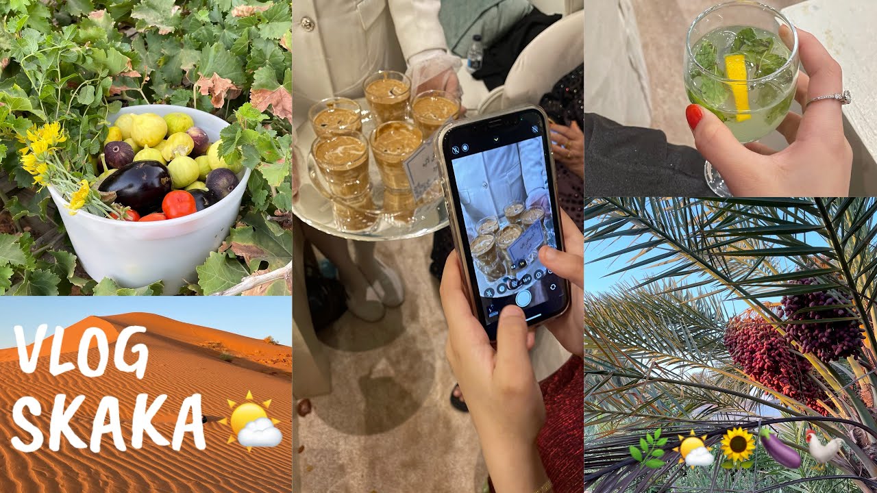 فلوق الديره 2 🌿🌤️.