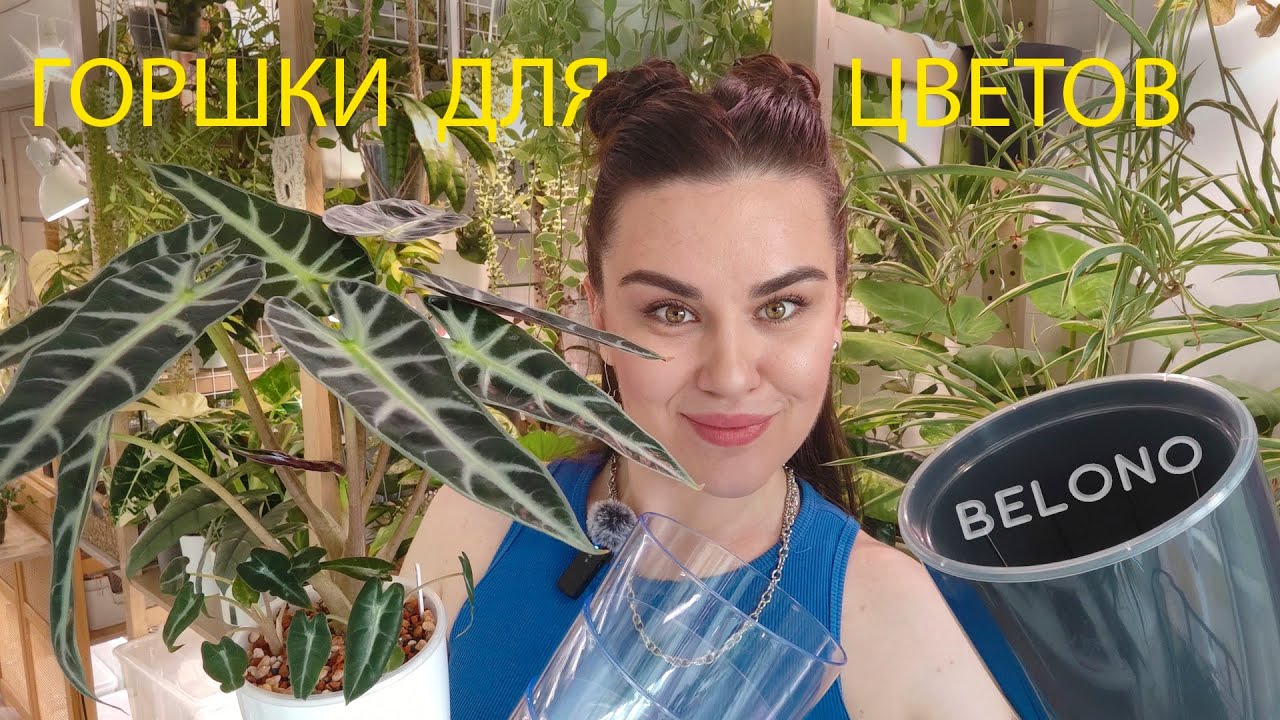 ГОРШКИ ДЛЯ ЦВЕТОВ | belono + пересадка