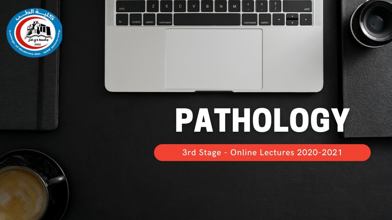 Pathology - lymph Nodes / Lecture 1 / د. حميد الزيدي