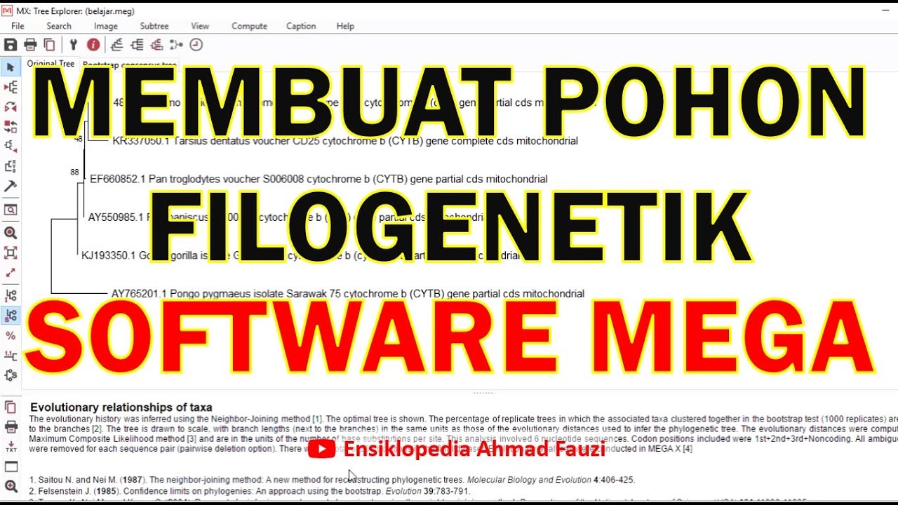 Tutorial Cara Membuat Pohon Filogenetik menggunakan MEGA