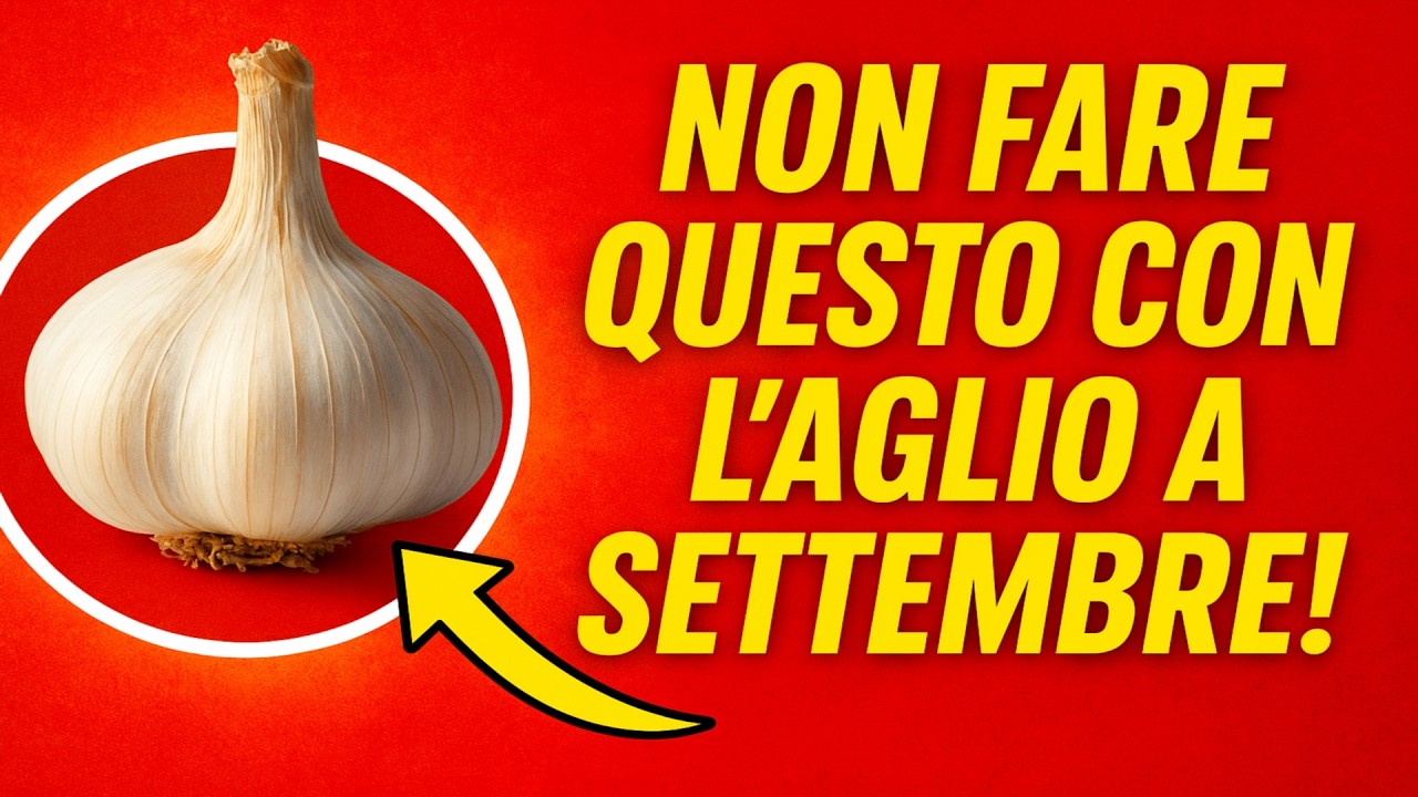Non fare questo con laglio a settembre! 🚫 Lerrore principale nella messa a dimora che ti lascerà s