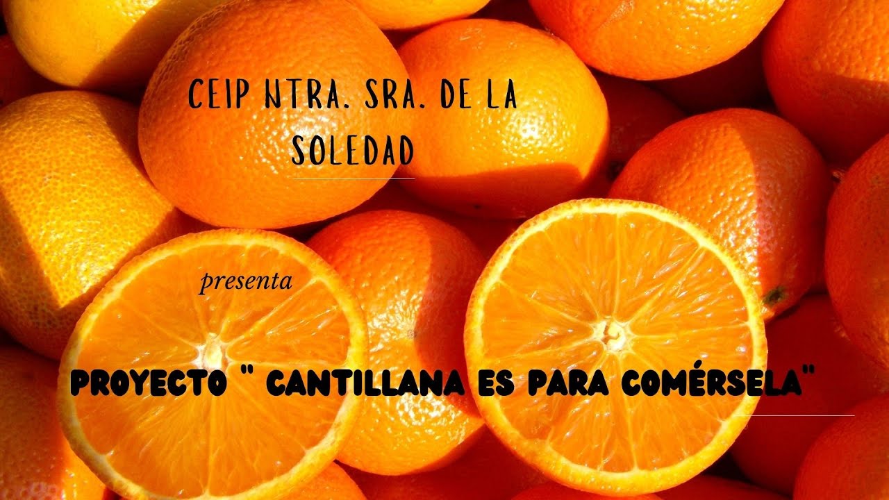 Portada de cuaderno patrón de fruta saturado naranja
