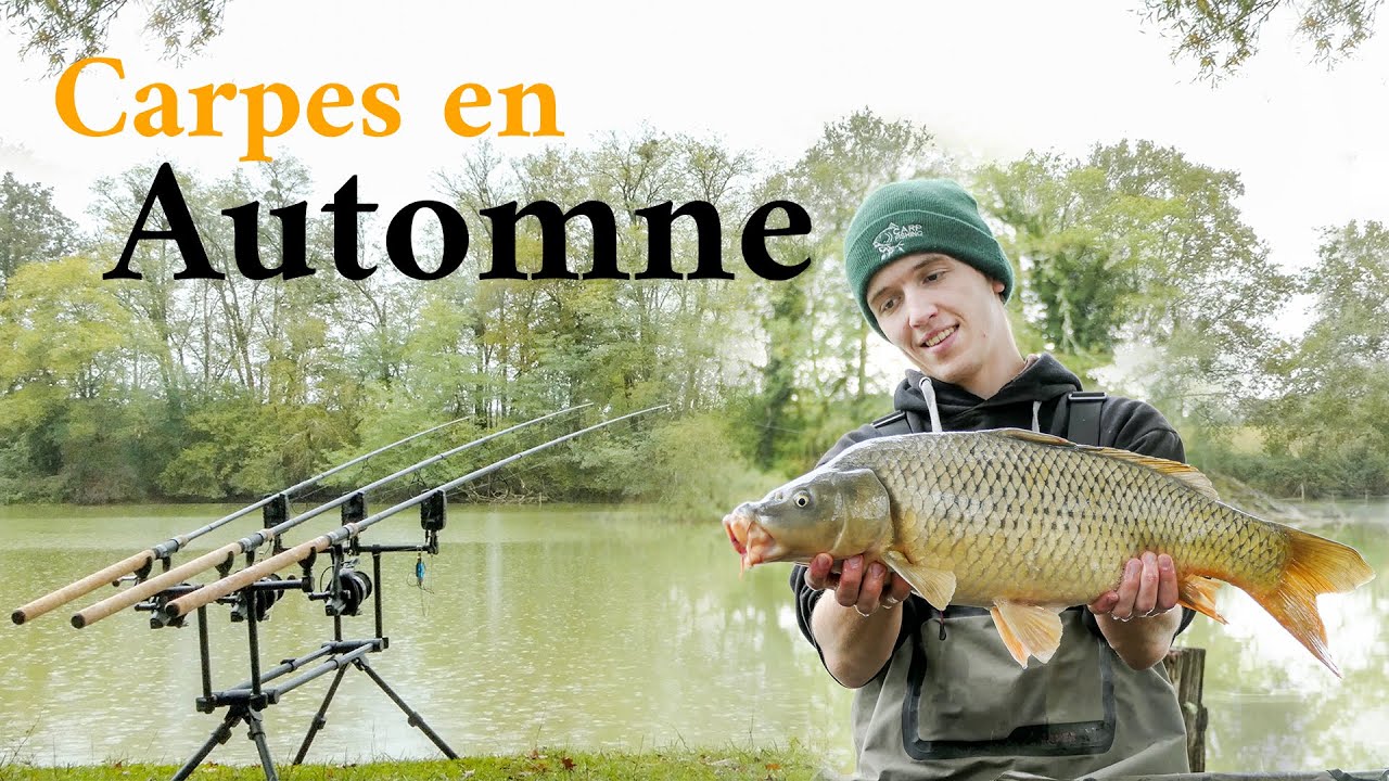 Pêche de la carpe en Automne / 1 journée en lac - Fish&Relax