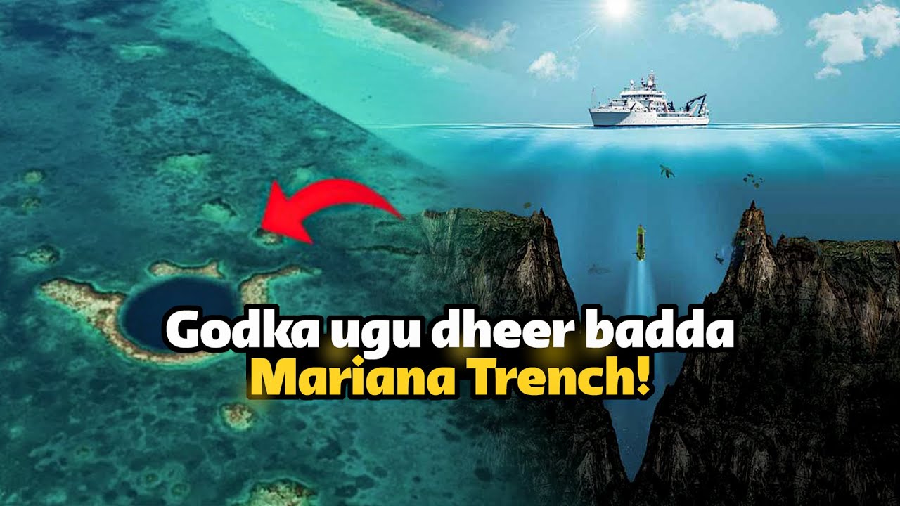 Gunta hoose ee badda maxaa ku jira? Godka ugu dheer ee badwaynta gunteeda ku yaala - Godka Mariana