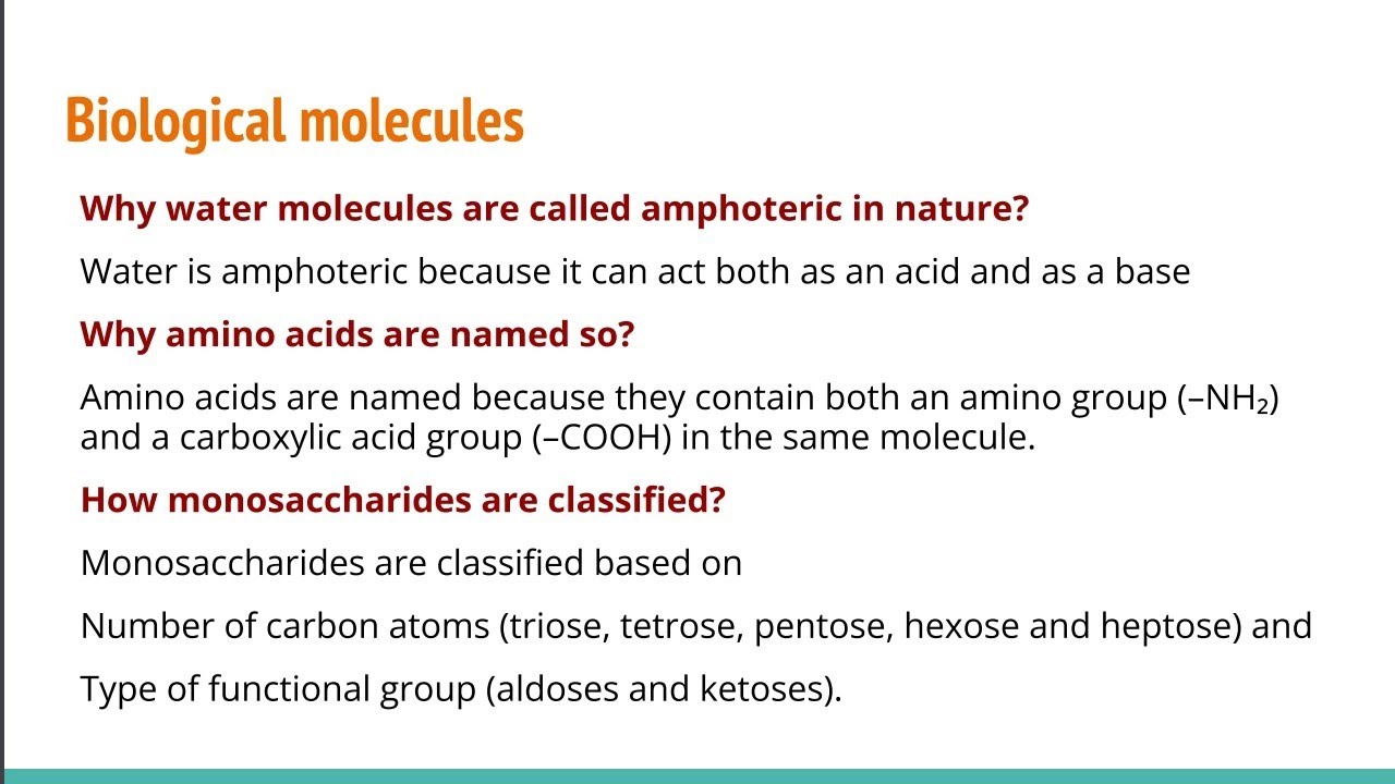 Biological molecules short questions explained || biology board preparation 