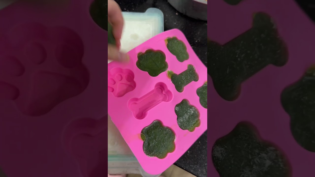 Feeding Routine of our 7 Siberian Huskies 🥩 #husky #siberianhusky #rawfood