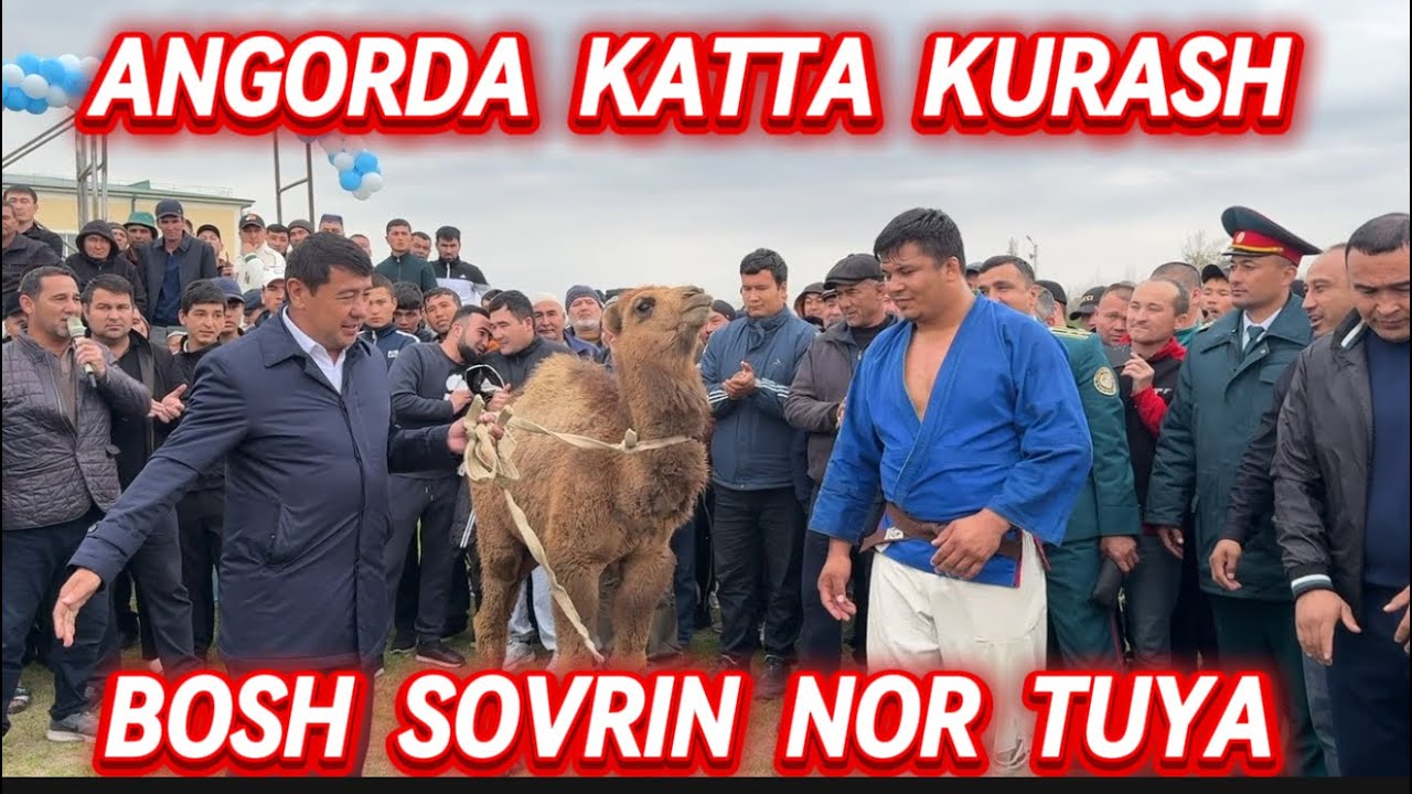 KATTA KURASH SURXONDARYO ANGOR TUMANIDA