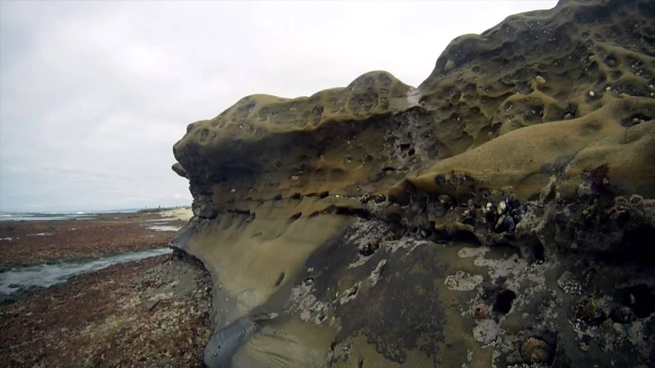 La Jolla Tide Pools