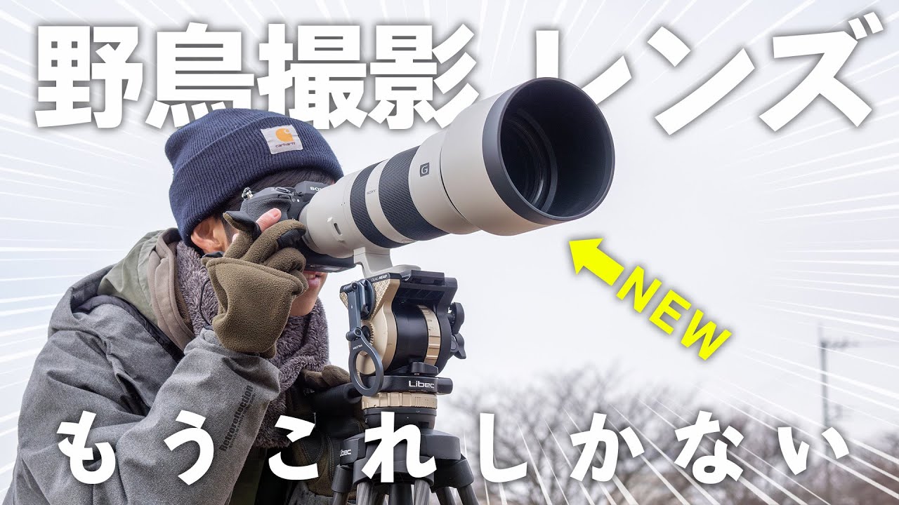 ソニーから野鳥撮影に特化しすぎたレンズ出た…【FE 400-800mm F6.3-8 G OSS】