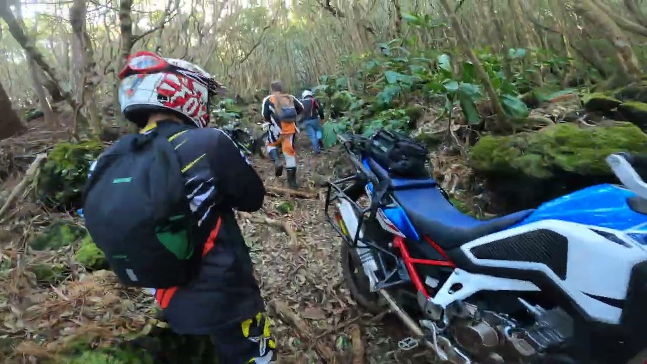 Voge 300 Rally(OffRoad) 