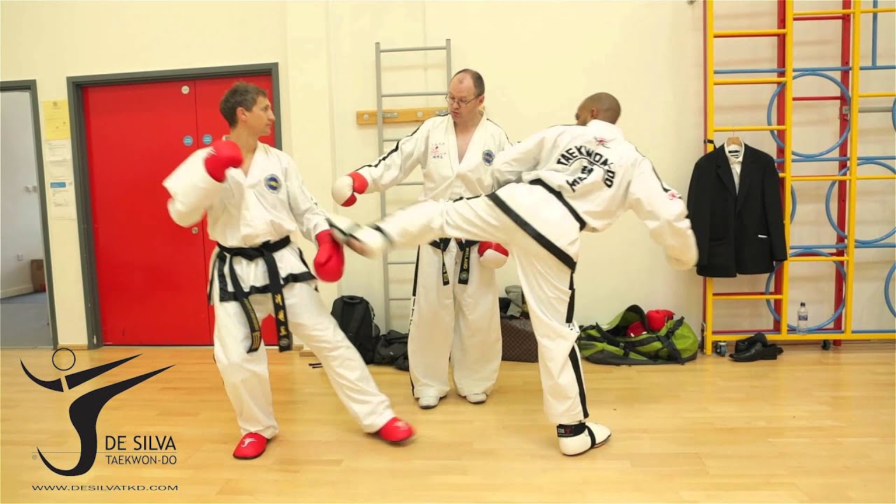 ITF Taekwon-Do_Master Don Dalton Sparring Seminar   Clip 3