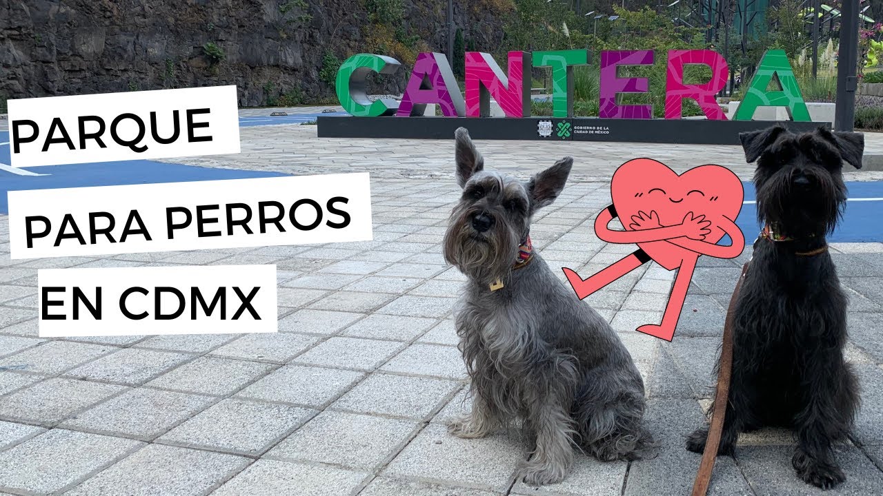🐶 Parque para perros en la CDMX, LA CANTERA 🐾 Zona para perros con juegos que les encantarán 🐩