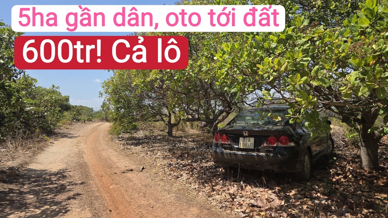 B&aacute;n 5ha đất n&ocirc;ng nghiệp gi&aacute; rẻ, bất động sản đất rẫy gia lai
